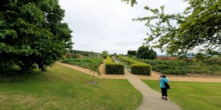 Chartwell steps to Rose Walk